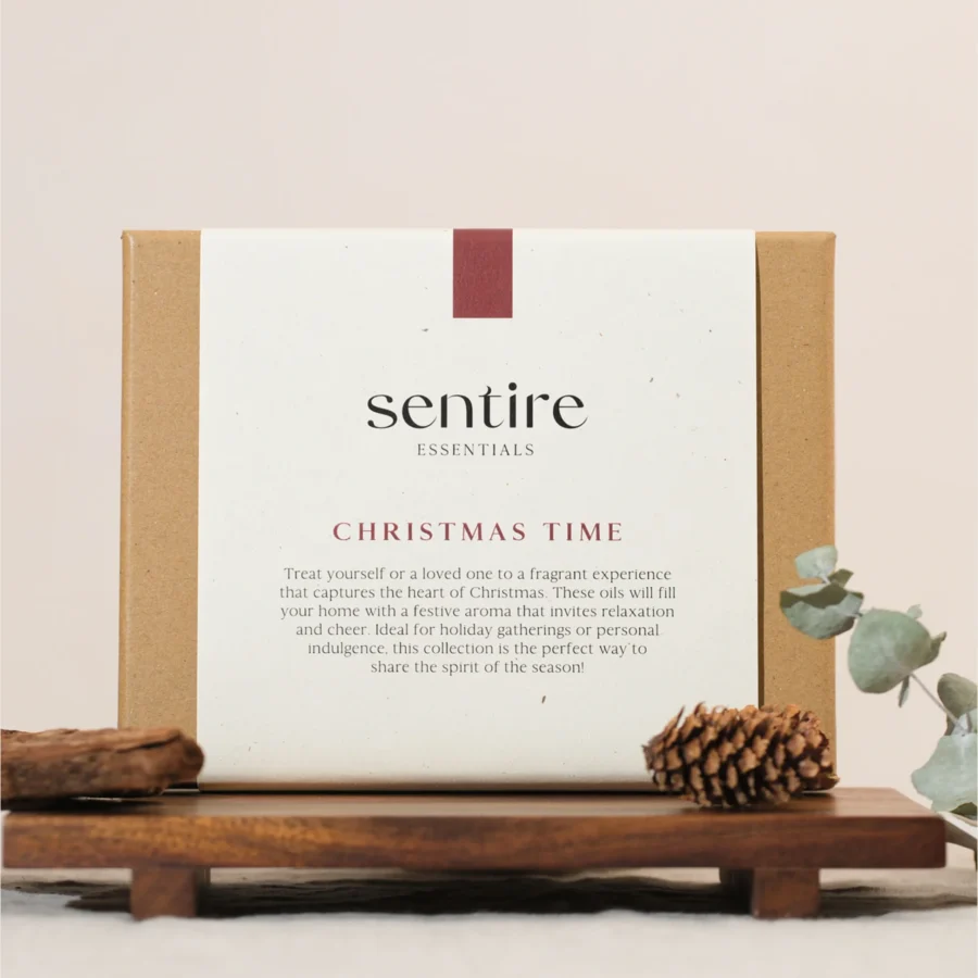 Christmas Time gift box